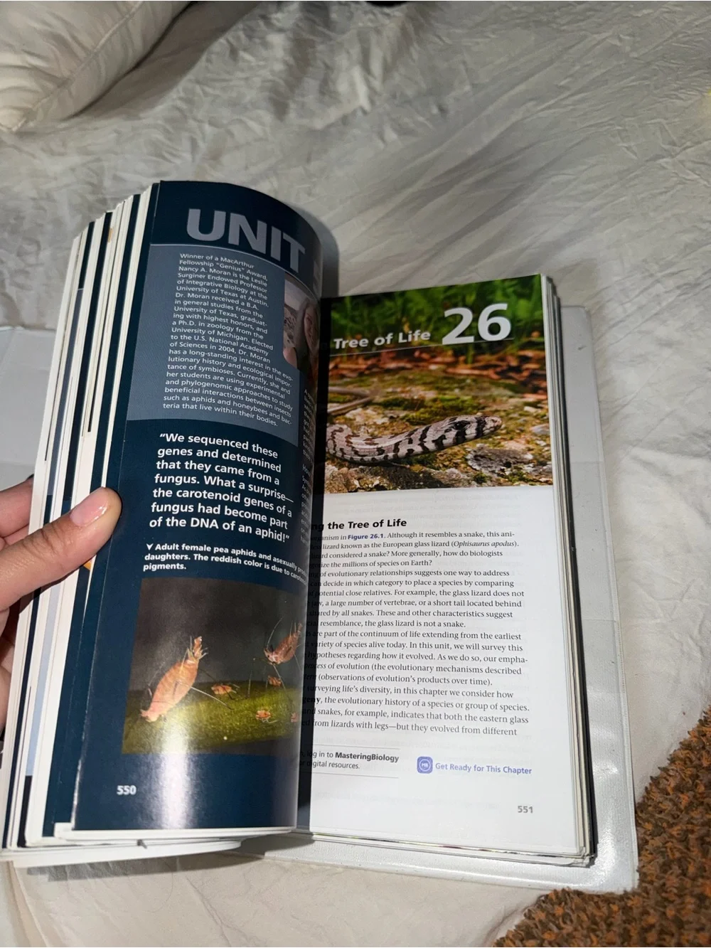 Campbell Biology (11th edition) - Paperback by Lisa A. Urry [binder included]